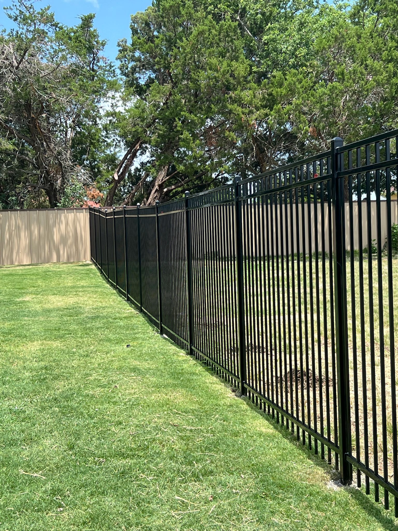 Enclosed backyard with black metal fence, dense green foliage and trees in the background, a trimmed grass lawn, and a concrete slab in the foreground under natural daylight.